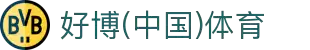 好博(中国)体育智能科技股份有限公司网站